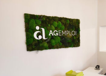 Cadre végétal - AG Emploi