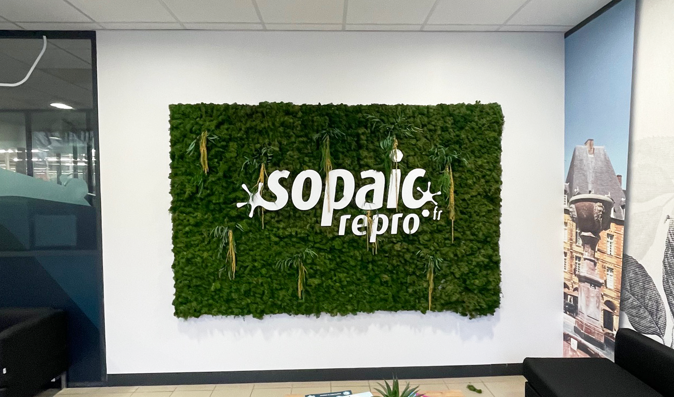 Mur végétalisé stabilisé