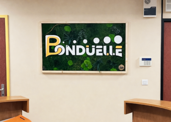 Mur végétal - BONDUEL