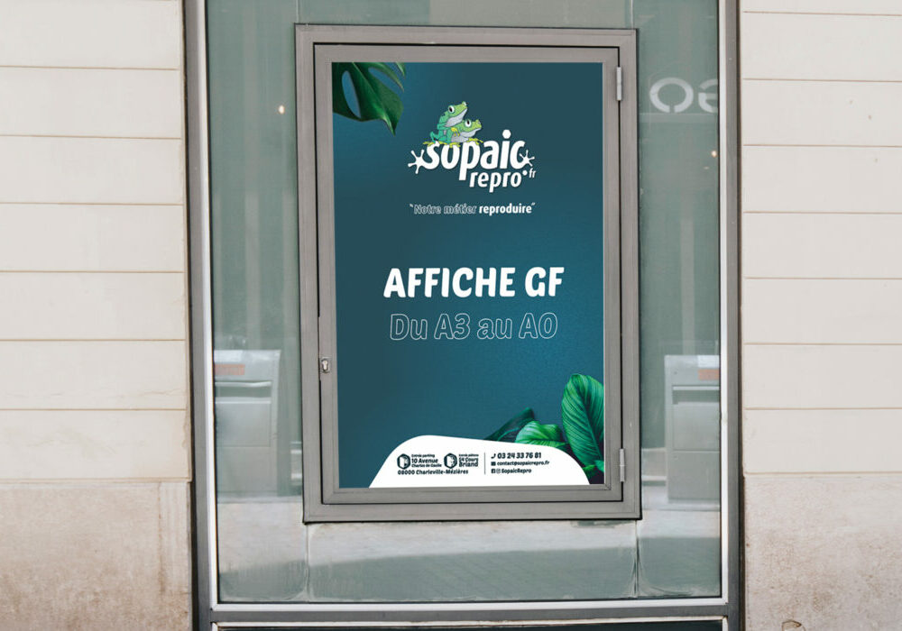 Affiche-papier-grand-format duA3-A0