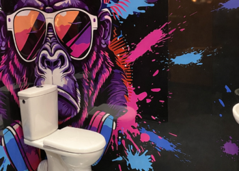 Credence-de-toilettes-singe